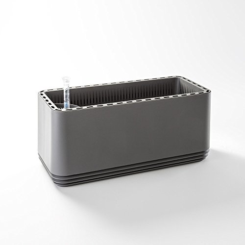 AIRY box - Hochwirksame Luftreinigung mit Zimmerpflanzen in "Stone Grey" (Stone Grey)