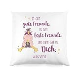 Striefchen® Einhorn Kissen - Knuddelhorn und Schnuppe - Es gibt gute Freunde. Es gibt beste Freunde. Und dann gibt es Dich.