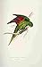 Produktbild A4 Photo Lear Edward 1832 Matons Parakeet Print Poster