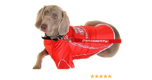 lfc dog coat