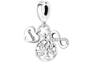 Symretie Colgante de plata 925 para pulseras o collares, compatible con diseños Pandora y europeos. Adecuado para mujeres y niñas.Y1