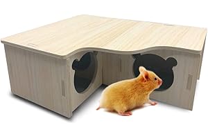 Eyksta Hamster Haus Holz, Mehrkammernhaus, Spielplatz, Haus für Zwerghamster, Rennmäuse, Degus, (22.5 * 18 * 8 cm)