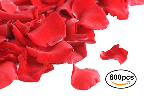 Valentinstag Rosenblüten, Künstliche Rosen, Blumenblätter / Rosenblätter aus Seide Fühlen, Rot, Blumen, Romantisch - 4