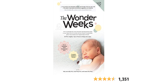 wonder weeks 12