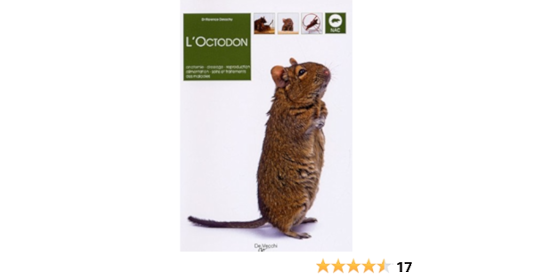 Amazon Fr L Octodon Anatomie Dressage Reproduction Alimentation Soins Et Traitements Des Maladies Desachy Florence Rocher Philippe Livres