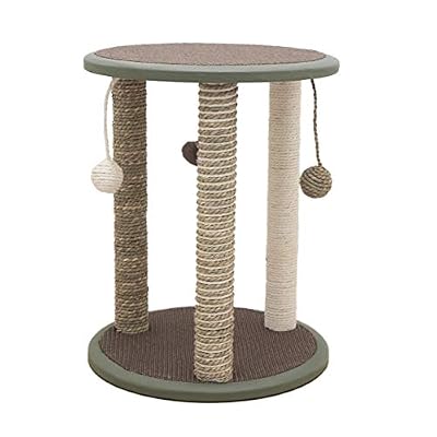 Rosewood Ensemble Grattoir Zurich pour Chat