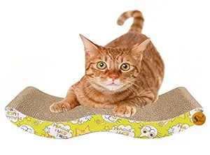 Sage Square Jumbo Size Scratching Board / Scratch Pad Cum Healthy Toy with Catnip for Cat / Kitten / Puppy