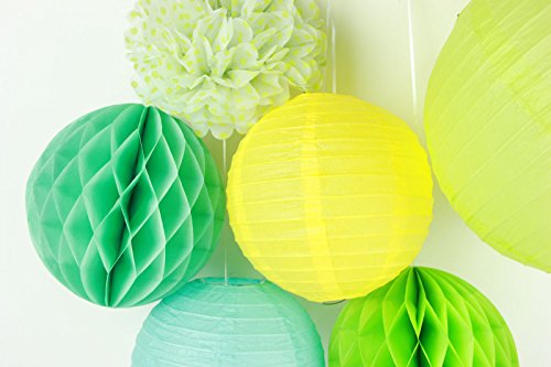 SUNBEAUTY 6er Set Grüne Deko Papier Blumen PomPoms Wabenbälle Lampion Zimmer Feier Dekoration
