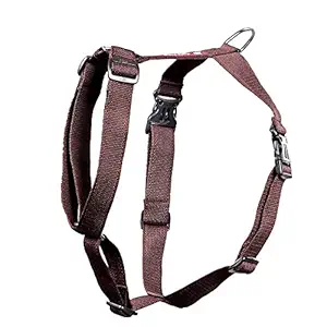 Pets Like Poly Body Belt, Brown (Large)