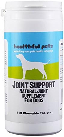 Healthful Pets Joint Support 120 Chewable Tablets