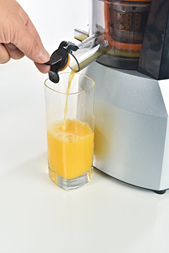 Solis Entsafter, Für Saft, Smoothie oder Dessert, Ganze Früchte, Hartes und weiches Obst und Gemüse, Kaltpresstechnologie, Multi Slow Juicer XXL (Typ 862) - 2