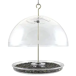 Droll Yankee DCF Dorothys Cardinal Feeder