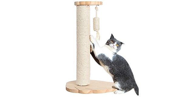 amazon prime cat tree