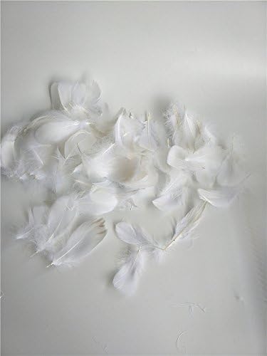 Bbei 100 PCS of Soft Feathers Decoration, Great for Transparent Clear Foil BoBo Balloons (White Feather)