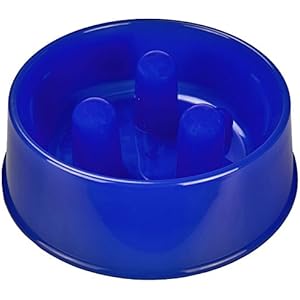 Katzen Pet Futternapf Hund Katze langsam Puppy Gulping Food Aufblasen Gericht Wasser Station ungiftiger Kunststoff