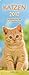 Streifenkalender - Katzen 2012 by 