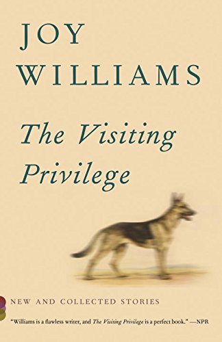 Book's Cover ofThe Visiting Privilege New and Collected Stories