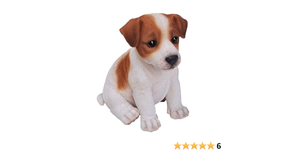 Vivid Arts Figurine De Chiot Jack Russell Amazon Fr Cuisine Et Maison Vivid Arts Figurine De Chiot Jack Russell Amazon Fr Cuisine Et Maison