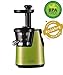 Produktbild GREENIS Profi Entsafter Slow Juicer F-9010 Saftpresse (grün)