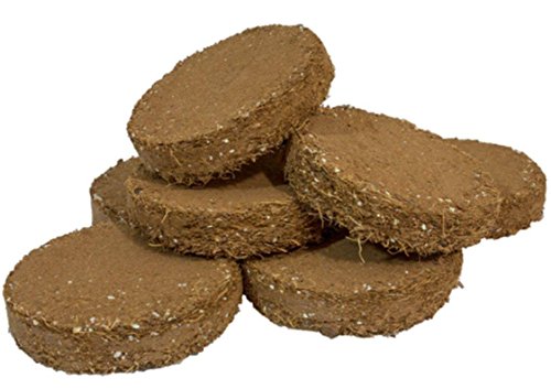 Root!T 1 Pack Of 20 Potting Biscuits