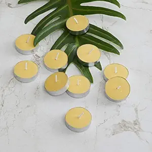 Home Centre Wax Candles, Set of 10, Botanical