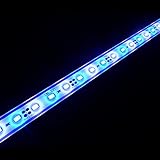 IP67 impermeable. Los LED han sido cubiertos con una capa de silicona lisa para mantenerlos impermeabilizados.