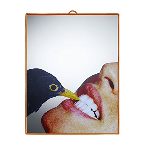 Toiletpaper Mirror Cm.22,5X29,5 - Blackbird