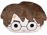 Vue Coussin décoratif en Peluche 32 X 36 Harry Potter