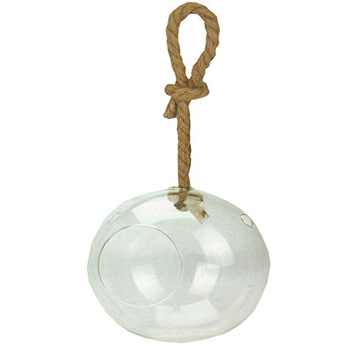 XXL Glaskugel Vase zum aufhängen und Dekorieren mit Pflanzen oder Sukkulenten – Durchmesser 20 cm - 2