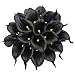 Produktbild Lucky Mall 20 Köpfe Kunstblumen Calla Lily, Wohnaccessoires Deko Künstliche Blume Haus Deco Hochzeit und Party Bouquet Künstliche Pflanze Kunstblume Blumenstrauß Mehrere Farben