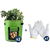 tomate dulce miel Diseño humanizado y razonable: tejido sólido y ventilado, no tóxico, las bolsas son respetuosas con el medio ambiente. Tamaño adecuado para las necesidades de jardinería. Las asas y la puerta de acceso son muy prácticos para mover y cosechar. Incluye un par de guantes para jardineras. ¡Todo está listo para trabajar!