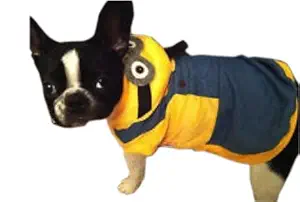 Douge Couture Meinion Dog Tees (Blue and Yellow, 14)