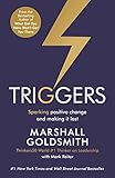 Image de Triggers: Sparking positive change and making it last