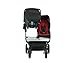 Mountain Buggy Duet Stroller Flint