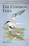 The Common Tern The Common Tern