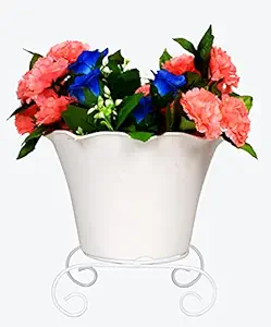 HINS 12 Inch Lotus Pot With Stand (White Pot With White Stand) Plant Stands For Indoor Balcony I Plant Bench I Plant Stands I Pot Stand Single I Potted Plant Stand I Big Pots I Metal Plant Stand I Tall Outdoor Planter I Metal Casters I Large Plant Stand I Pot Stands For Garden I Indoor Plants Stand I Iron Plant Stand I Terrace Garden Stand I Garden Rack I Iron Stand For Pots I Pots Stand I Indoor Planter With Stand I Metal Plant Stands I Vase Stand