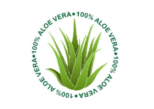 klassisches Kopfkissen – Aloe Vera – für erholsamen Schlaf – geprüft nach Öko-Tex Standard 100 – in 2 verschiedenen Größen, 40 cm x 80 cm - 8