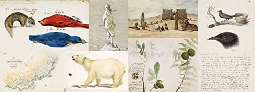 Explorers' Sketchbooks: The Art of Discovery & Adventure