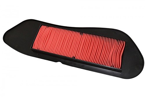 Champion - Filtro de aire para Yamaha X-Max 125-250