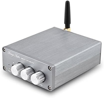ONEU Class D HIFI Digtal Stereo Audio High Power Mini Car Bluetooth Amplifier Amp