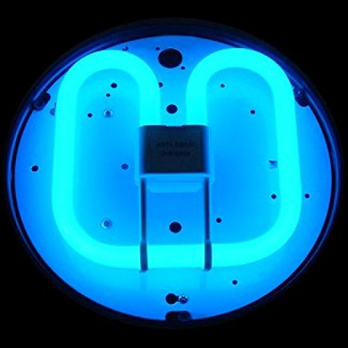 Preisvergleich Produktbild 5 x 28w Prolite 2D Kompaktleuchtstofflampe 4 Pin GR10q (FLDD4 / 28AD / PRO)