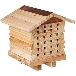 Wildlife World Ruche pour Abeilles Solitaires Interactive