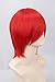 Topcosplay Unisex Universal Short Straight Cosplay Costumes Halloween Party Hair Full Wigs (Red)