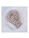Tom's Ware Newborns Unisex Baby's Winter Lamby Hoodie Coat TWBC006-1 WHITE-95(US 24-36 MONTHS)