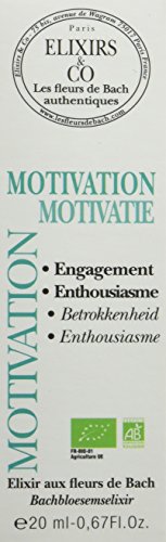 Download Elixirs & co Composé Motivation Compte Goutte 20 ml Download Elixirs & co Composé Motivation Compte Goutte 20 ml