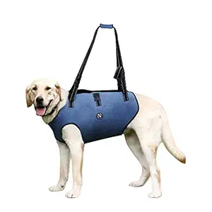 COODEO Dog Lift Harness, Pet Support & Rehabilitation Sling Lift Adjustable Padded Breathable Straps for Old, Disabled, Joint Injuries, Arthritis, Loss of Stability Dogs Walk (Extra Large)