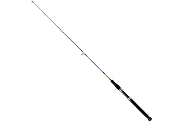 Daiwa - Bâton de Marche capteur Bateau spécial Bateau 2 Poils