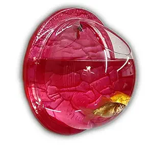 Wall Mounted Hanging Aquarium Transparent Acrylic Fish Bowl 6 inch Non- Breakable Flower Pot Deep Pink Color