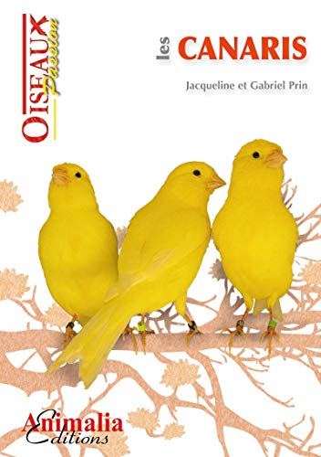 Les Canaris Les Guides Oiseaux Passion