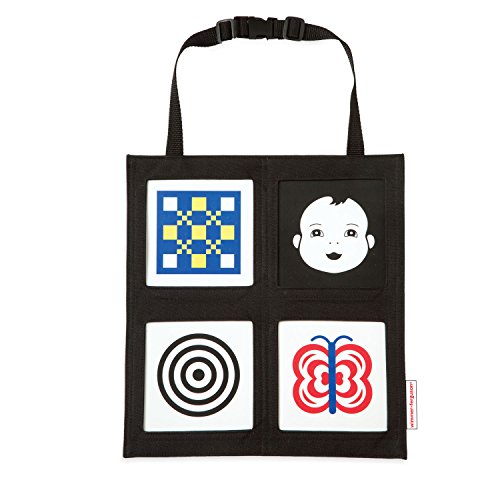 Wimmer Ferguson Car Seat Gallery